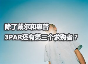 除了戴尔和惠普 3PAR还有第三个收购者？